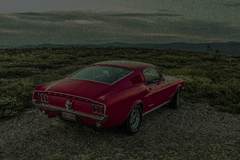Mustang 6-1.jpg