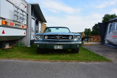 Mustang 65a