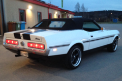 Mustang 02.png