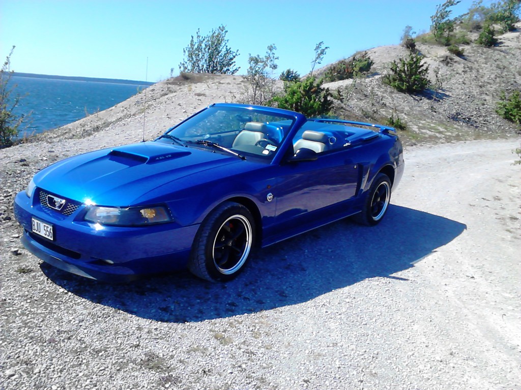 Mustang på Bläse.jpg