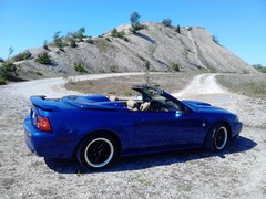 Min Mustang.jpg
