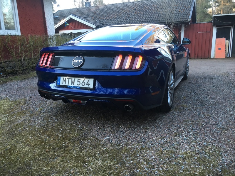 Mustang.JPG