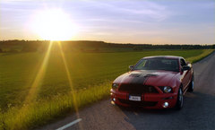 Shelby GT500 by RoTe