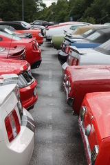 Närmare tvåhundra Mustanger parkerade032.JPG