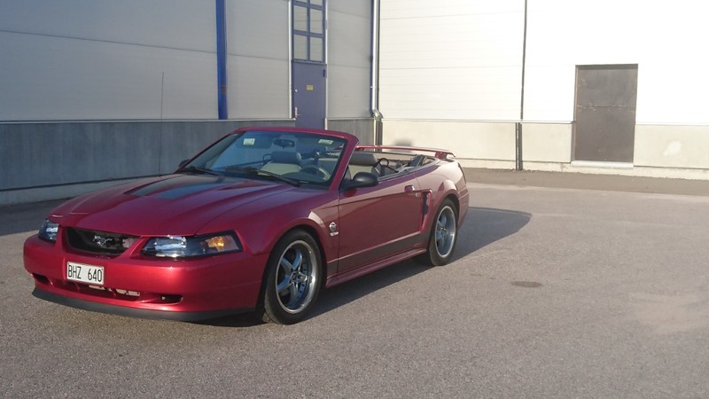 mustangen.jpg