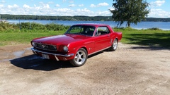 Mustang -66