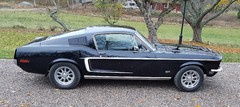 Mustang GT 68.jpg