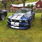 mustang haby