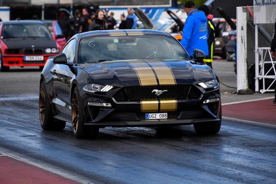 Mustang in action.jpg