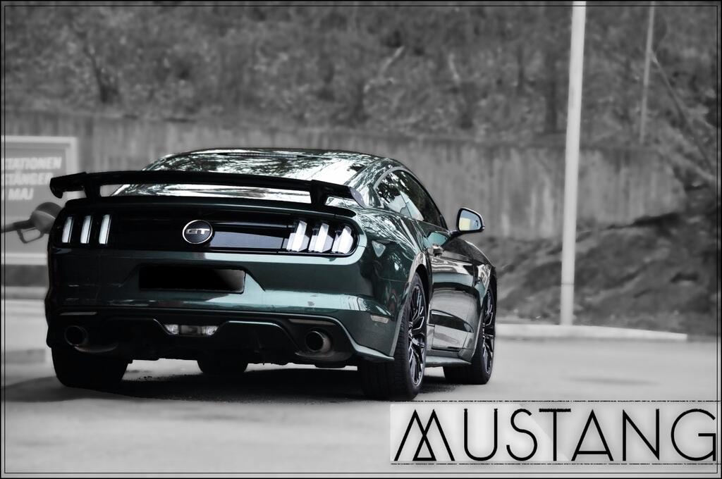 BigShadow's Mustang GT 2016