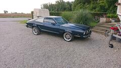 Mustangs 1974 - 1993