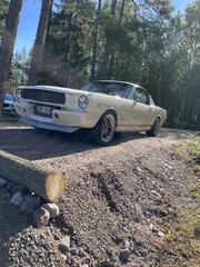 Mustangs 1965 - 1973