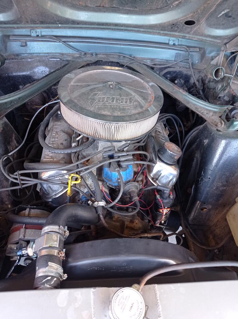 Ford Mustang -67 vilken motortyp?