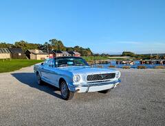 Mustang 1966 Arcadian Blue-2