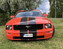 Mustanger 2005 - 2014