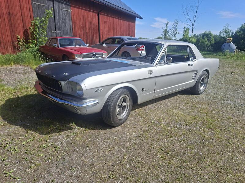 20260601_094731.jpg