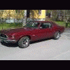 Mustang-69